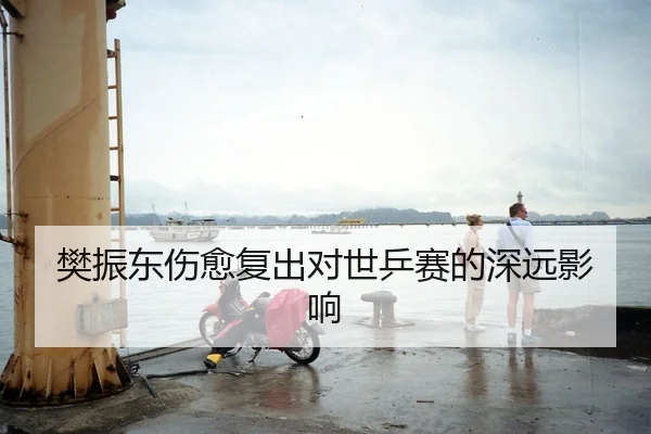 樊振东伤愈复出对世乒赛的深远影响
